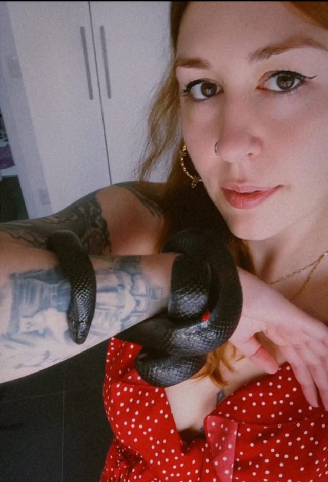 Cat relaxed at home with Lígia