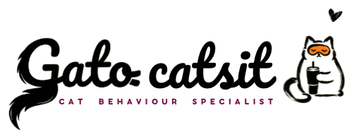 Gato Petsit